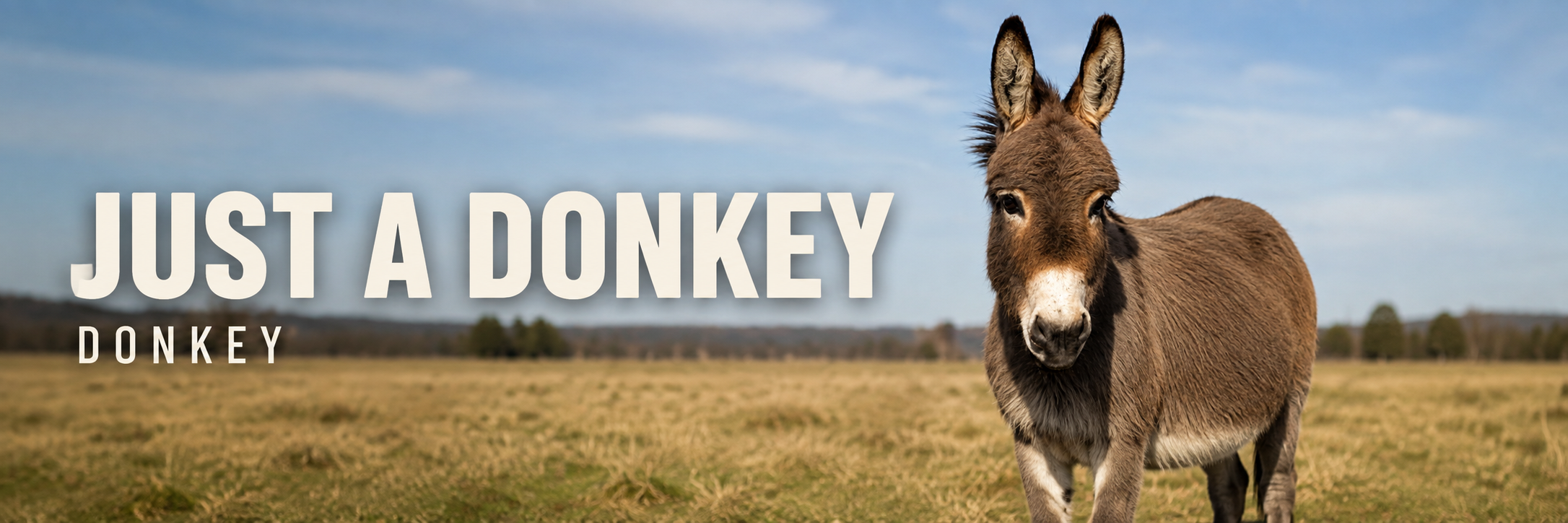 Just a Donkey banner